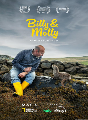 Billy e Molly 2024